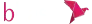bKash